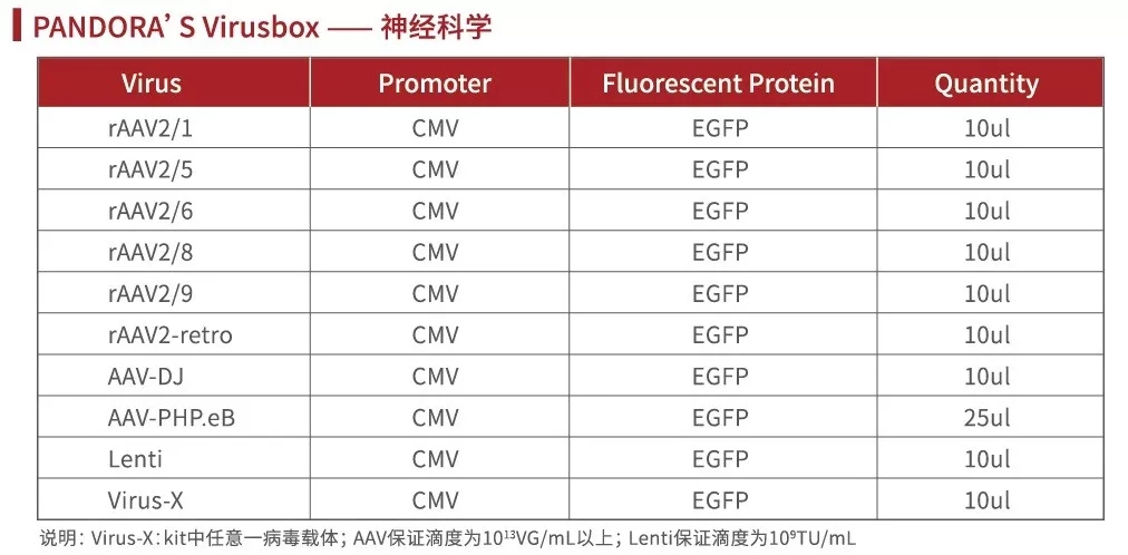 潘多拉魔盒(PANDORA'S Virusbox)——腺相关病毒