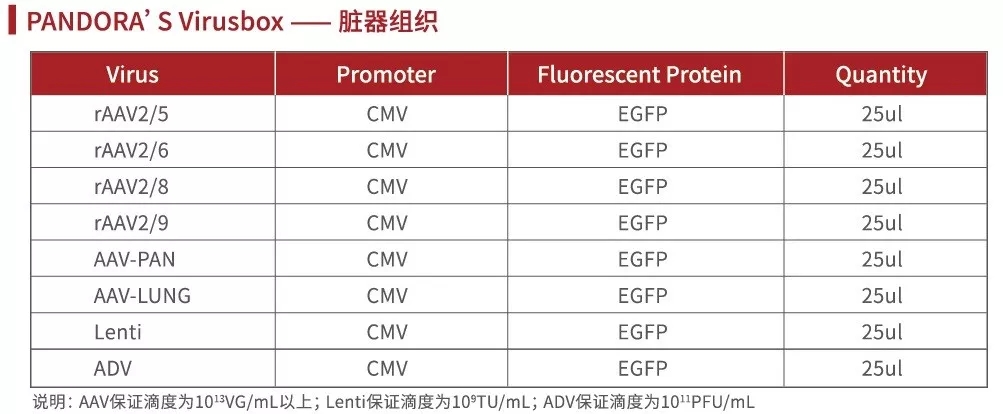 潘多拉魔盒(PANDORA'S Virusbox)——腺相关病毒